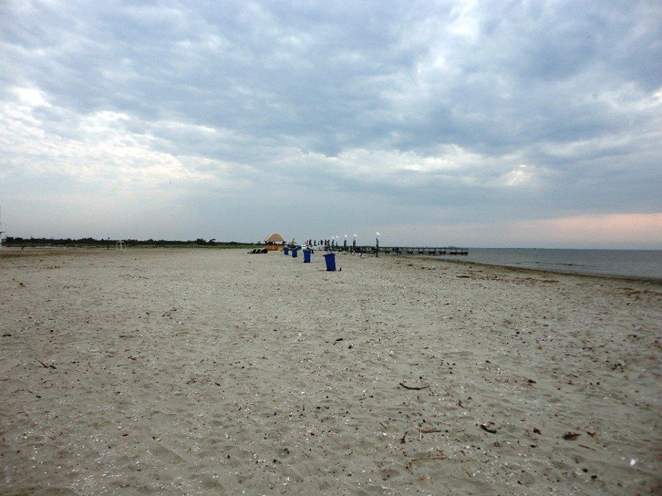 PLIMBARI IN DELTA  - 1070092.jpg